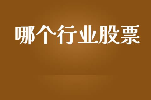 哪个行业股票_https://m.gongyisiwang.com_财经时评_第1张