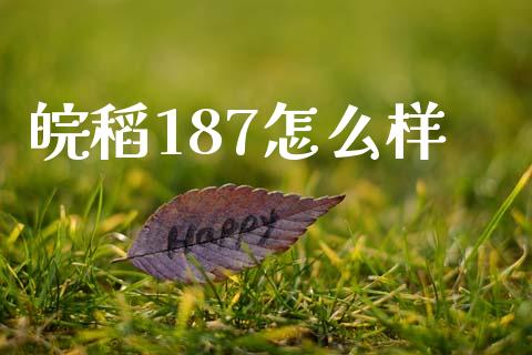 皖稻187怎么样_https://m.gongyisiwang.com_财经咨询_第1张