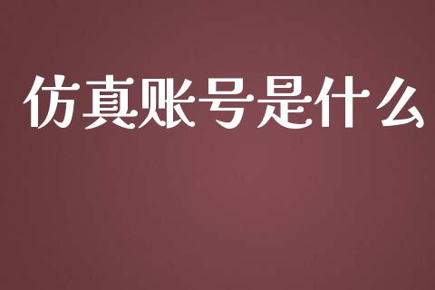 仿真账号是什么_https://m.gongyisiwang.com_债券咨询_第1张