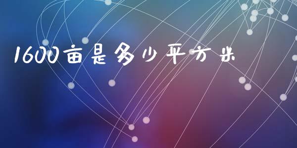 1600亩是多少平方米_https://m.gongyisiwang.com_保险理财_第1张