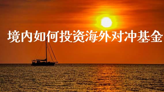 境内如何投资海外对冲基金_https://m.gongyisiwang.com_理财产品_第1张