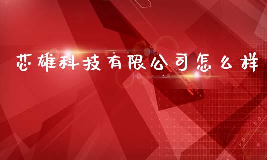 芯雄科技有限公司怎么样_https://m.gongyisiwang.com_保险理财_第1张