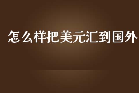 怎么样把美元汇到国外_https://m.gongyisiwang.com_债券咨询_第1张