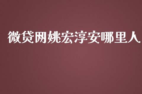 微贷网姚宏淳安哪里人_https://m.gongyisiwang.com_信托投资_第1张