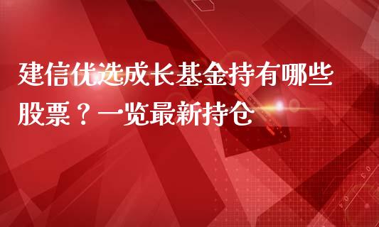 建信优选成长基金持有哪些股票？一览最新持仓_https://m.gongyisiwang.com_财经时评_第1张
