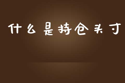 什么是持仓头寸_https://m.gongyisiwang.com_财经咨询_第1张