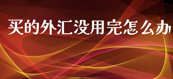 买的外汇没用完怎么办_https://m.gongyisiwang.com_信托投资_第1张