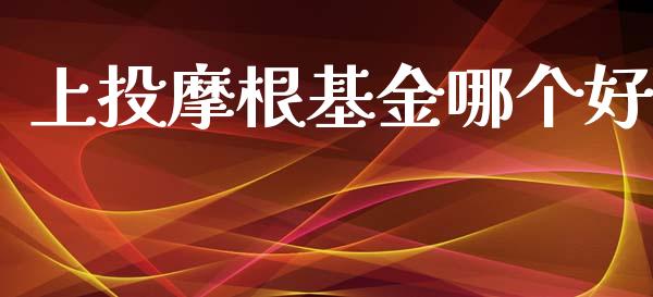 上投摩根基金哪个好_https://m.gongyisiwang.com_财经咨询_第1张