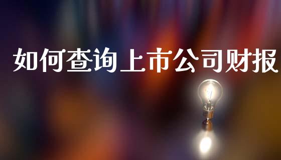 如何查询上市公司财报_https://m.gongyisiwang.com_债券咨询_第1张