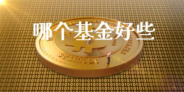 哪个基金好些_https://m.gongyisiwang.com_理财产品_第1张