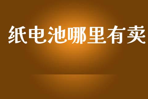 纸电池哪里有卖_https://m.gongyisiwang.com_财经时评_第1张