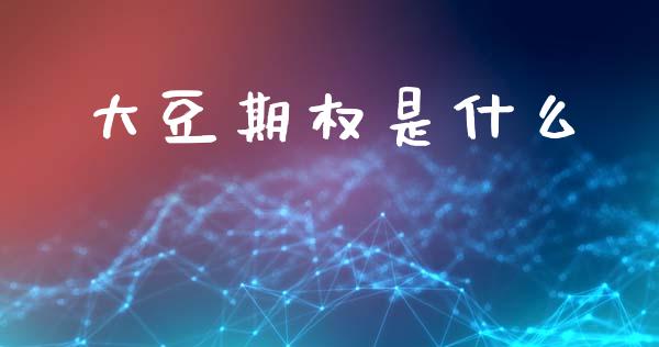 大豆期权是什么_https://m.gongyisiwang.com_财经时评_第1张