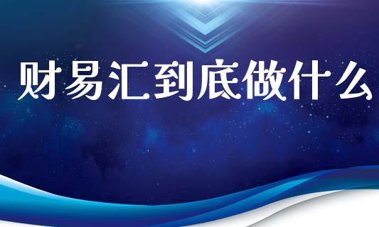 财易汇到底做什么_https://m.gongyisiwang.com_债券咨询_第1张