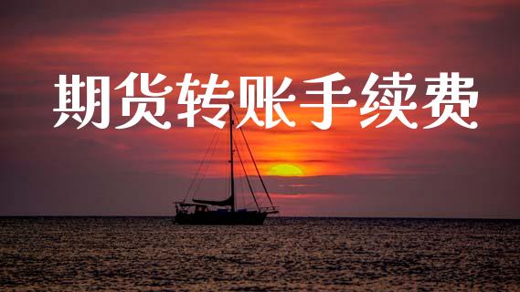 期货转账手续费_https://m.gongyisiwang.com_债券咨询_第1张