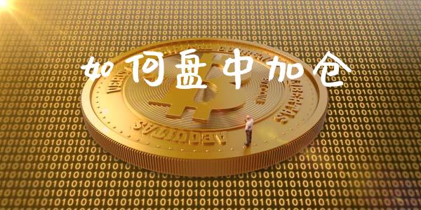 如何盘中加仓_https://m.gongyisiwang.com_理财投资_第1张