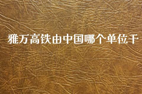 雅万高铁由中国哪个单位干_https://m.gongyisiwang.com_保险理财_第1张