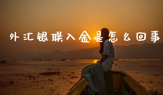 外汇银联入金是怎么回事_https://m.gongyisiwang.com_商业资讯_第1张