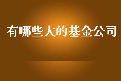 有哪些大的基金公司_https://m.gongyisiwang.com_信托投资_第1张