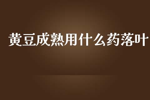 黄豆成熟用什么药落叶_https://m.gongyisiwang.com_财经咨询_第1张