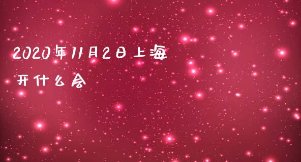 2020年11月2日上海开什么会_https://m.gongyisiwang.com_理财投资_第1张