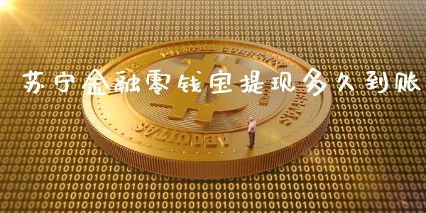 苏宁金融零钱宝提现多久到账_https://m.gongyisiwang.com_商业资讯_第1张