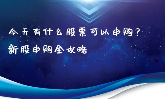 今天有什么股票可以申购？新股申购全攻略_https://m.gongyisiwang.com_债券咨询_第1张