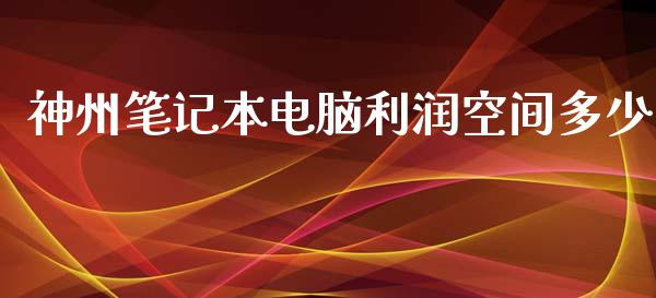 神州笔记本电脑利润空间多少_https://m.gongyisiwang.com_财经时评_第1张