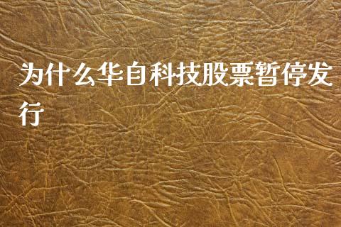 为什么华自科技股票暂停发行_https://m.gongyisiwang.com_债券咨询_第1张