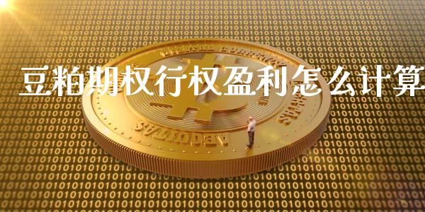 豆粕期权行权盈利怎么计算_https://m.gongyisiwang.com_保险理财_第1张