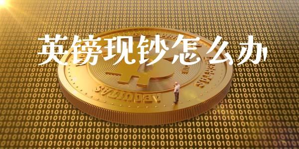 英镑现钞怎么办_https://m.gongyisiwang.com_债券咨询_第1张