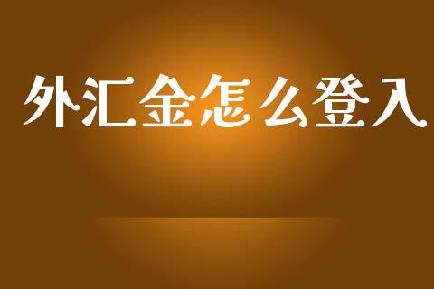 外汇金怎么登入_https://m.gongyisiwang.com_理财产品_第1张