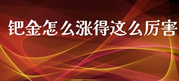 钯金怎么涨得这么厉害_https://m.gongyisiwang.com_商业资讯_第1张