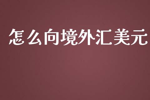 怎么向境外汇美元_https://m.gongyisiwang.com_理财投资_第1张