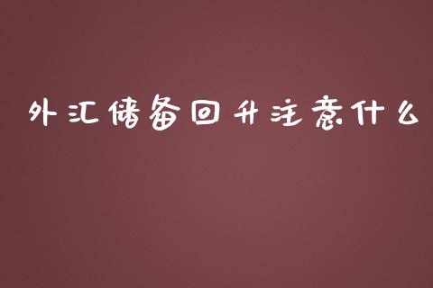 外汇储备回升注意什么_https://m.gongyisiwang.com_财经咨询_第1张