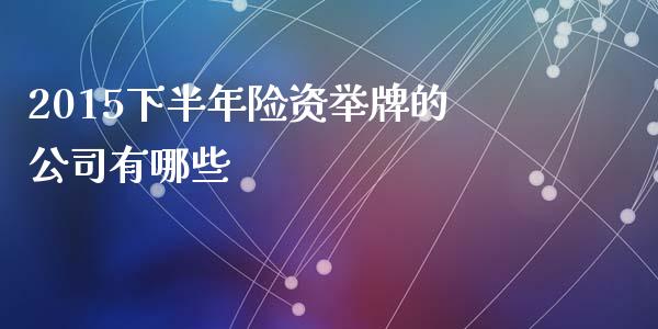 2015下半年险资举牌的公司有哪些_https://m.gongyisiwang.com_债券咨询_第1张