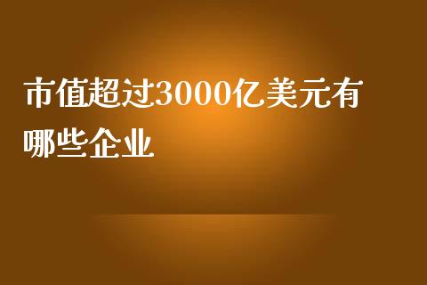 市值超过3000亿美元有哪些企业_https://m.gongyisiwang.com_理财投资_第1张