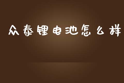 众泰锂电池怎么样_https://m.gongyisiwang.com_信托投资_第1张