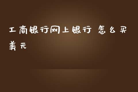 工商银行网上银行 怎么买美元_https://m.gongyisiwang.com_商业资讯_第1张