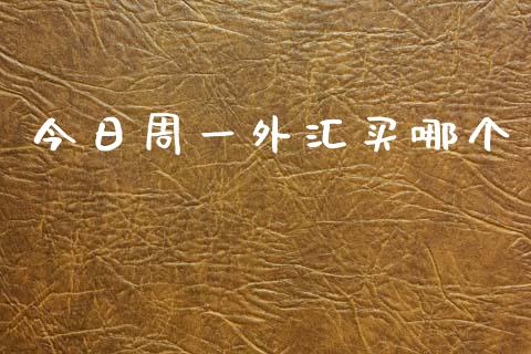 今日周一外汇买哪个_https://m.gongyisiwang.com_财经咨询_第1张