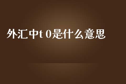 外汇中t 0是什么意思_https://m.gongyisiwang.com_信托投资_第1张