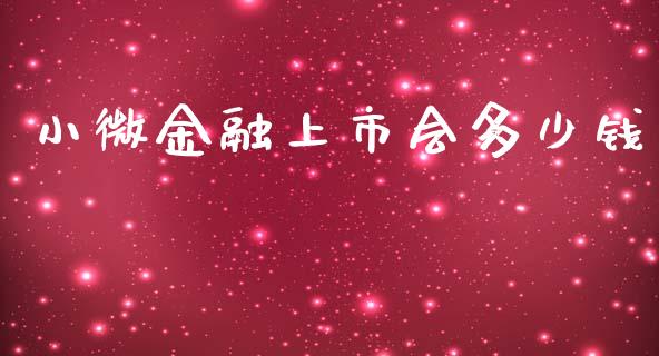 小微金融上市会多少钱_https://m.gongyisiwang.com_理财投资_第1张