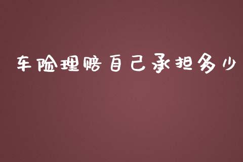 车险理赔自己承担多少_https://m.gongyisiwang.com_保险理财_第1张