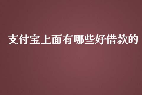 支付宝上面有哪些好借款的_https://m.gongyisiwang.com_理财产品_第1张