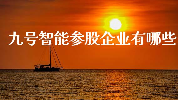 九号智能参股企业有哪些_https://m.gongyisiwang.com_理财产品_第1张