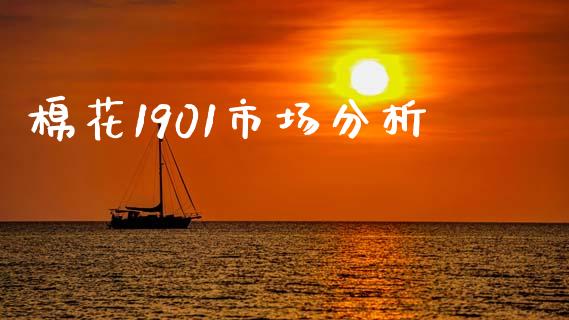 棉花1901市场分析_https://m.gongyisiwang.com_财经时评_第1张