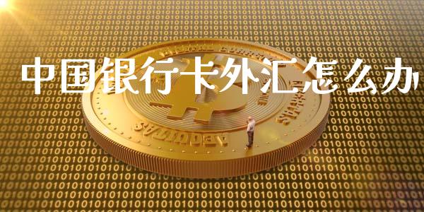 中国银行卡外汇怎么办_https://m.gongyisiwang.com_债券咨询_第1张