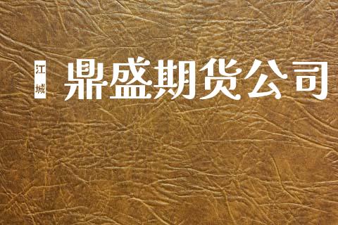 鑫鼎盛期货公司_https://m.gongyisiwang.com_财经时评_第1张