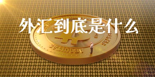 外汇到底是什么_https://m.gongyisiwang.com_信托投资_第1张