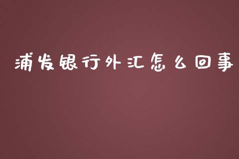 浦发银行外汇怎么回事_https://m.gongyisiwang.com_信托投资_第1张