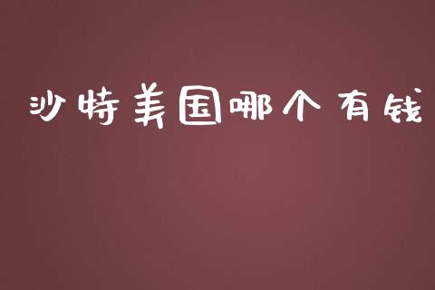 沙特美国哪个有钱_https://m.gongyisiwang.com_理财产品_第1张